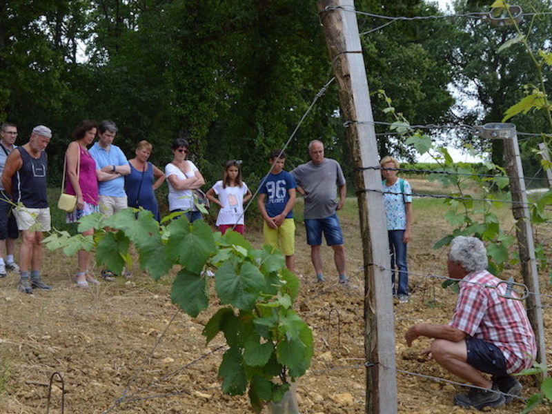 Visite guidée du vignoble du Domaine du Siorac